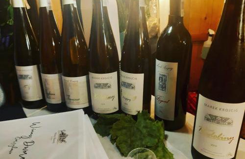 Domek Franianiesulice - Foto 42