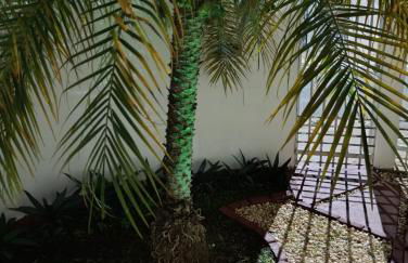 Apartmento duplex - Foto 8