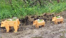 The Salmon Suite - Photo 5