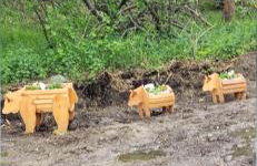 The Salmon Suite - Foto 5