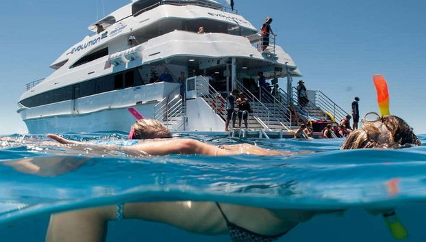 Snorkeling à la Grande Barrière de Corail