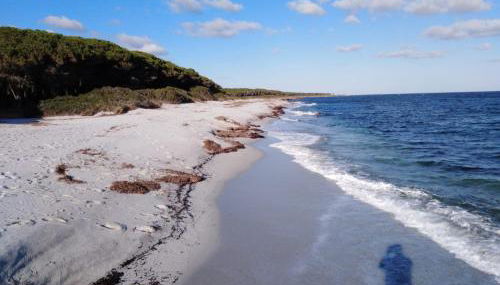 Residence La Pineta - Foto 4