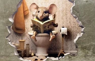 Samaya Corumbau - Photo 44