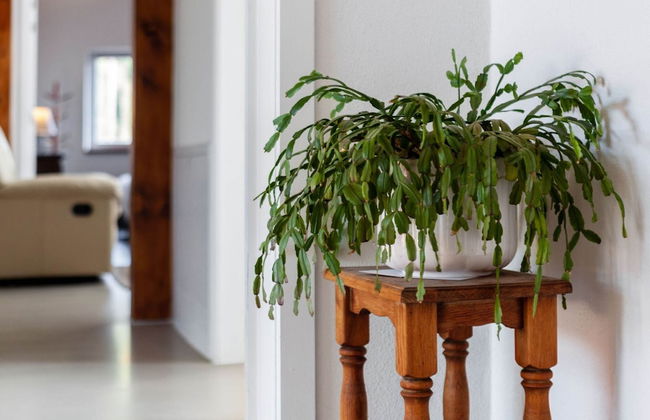 Snug Apartment in Birresborn With Garden - Photo 29