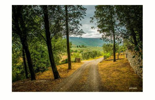 Sustainable Farmhouse In The Tuscan Countryside - Foto 19