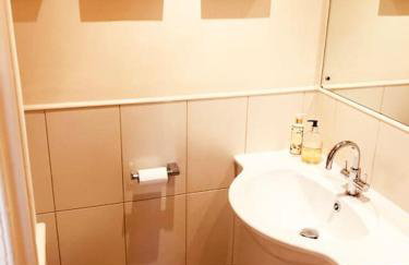 Somerleyton Meadows - Somerley House plus Hut & Hot Tub - Foto 10