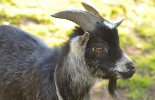Ferienwohnung Süderfeld - Foto 17