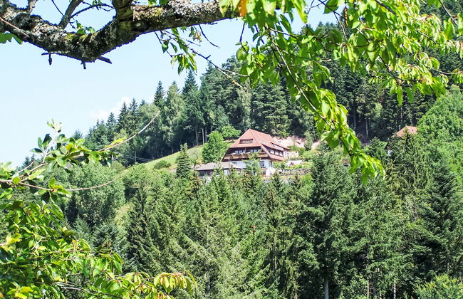 Biohof Herrenweg - Foto 12