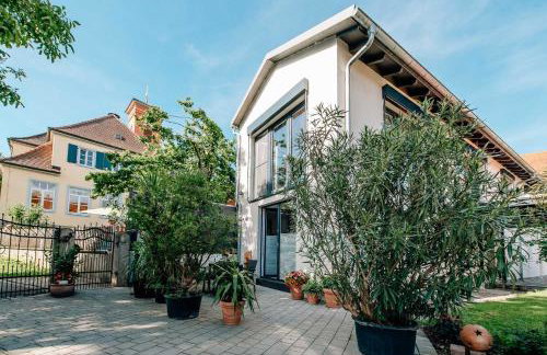 Apartment im Weinparadies - Foto 1