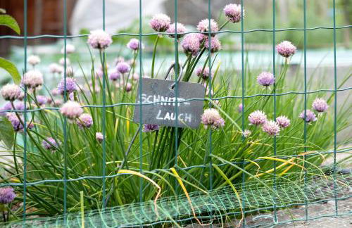 Bauernhof Sackgut - Foto 19