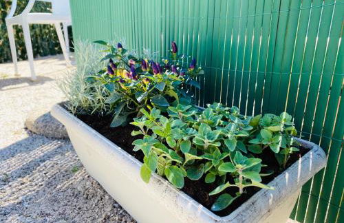 The Dream - Photo 24