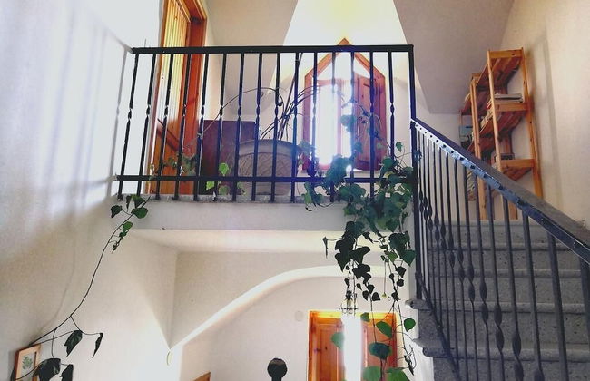 Agriturismo Il Castagno - Foto 12