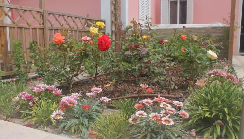 Casa dos Malmequeres - Foto 4