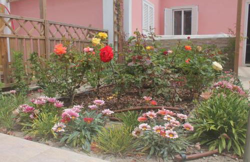 Casa dos Malmequeres - Photo 4