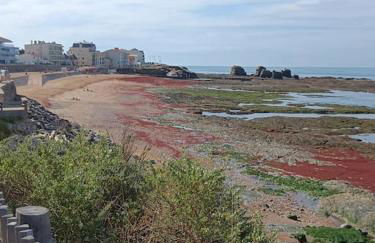 Plage et commerces à pieds ! Gîte Eugène - Foto 7