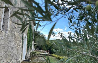 Casale Erasmo - Foto 11
