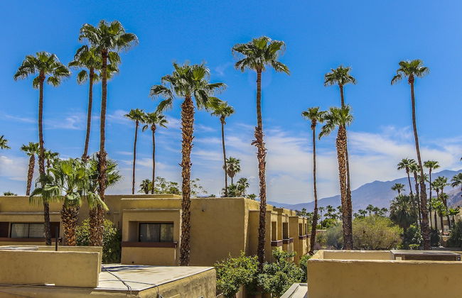 Desert Vacation Villas - Foto 19