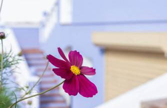 Casa Margarita - Foto 53