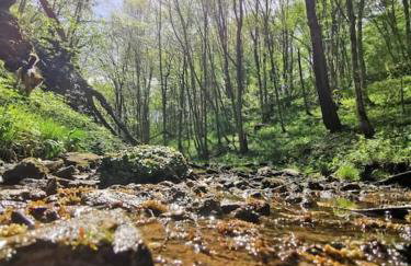 Kuća za odmor Jadra - Foto 62