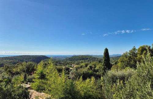 La Ruchanne - Foto 3
