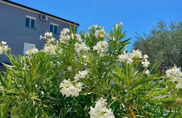 Apartment Emanuela - Photo 19