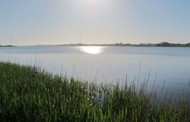 Liefde Voor de Schlei - Photo 9