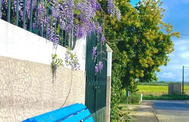 Casa de Azzancha - Foto 46