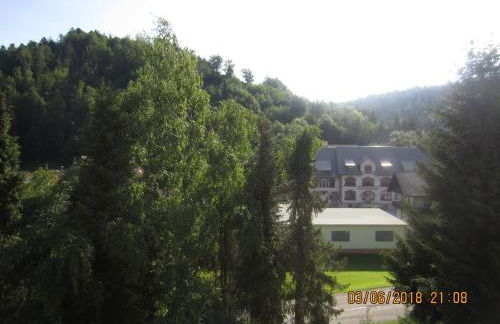 Ferienwohnung Todtmoos - Foto 15