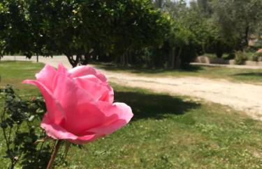 Armonia Apartment - Foto 24