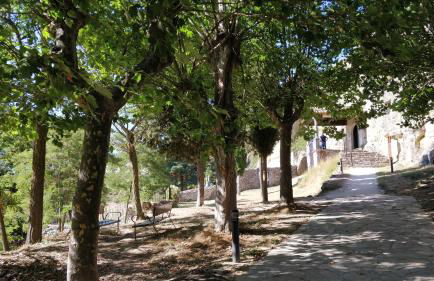 La Casa Amarilla - Foto 23