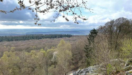 Ferienwohnung Inga - Foto 5