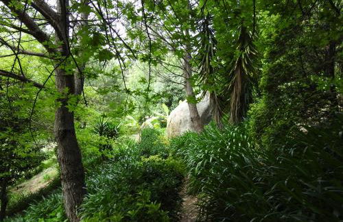 Quinta de S. Vicente 317 - Foto 69