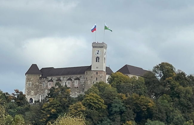 Vila Emona - Central Apartments - Free Parking - Photo 23