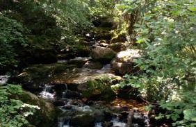 La Casa de Consuelo 3 - Foto 46