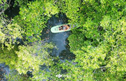 Porto Taipu - Foto 39