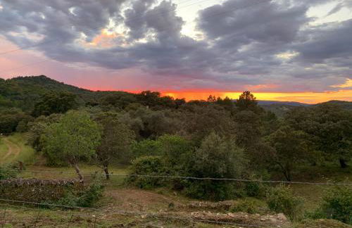 Nature Space Jabugo - Foto 17