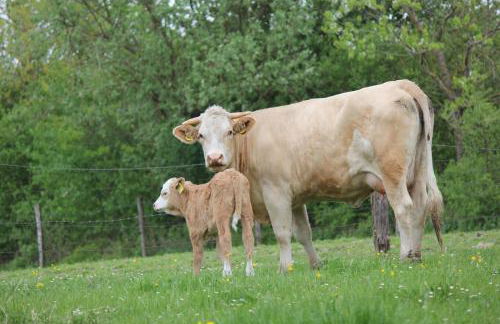 Biohof Liebhart - Photo 36