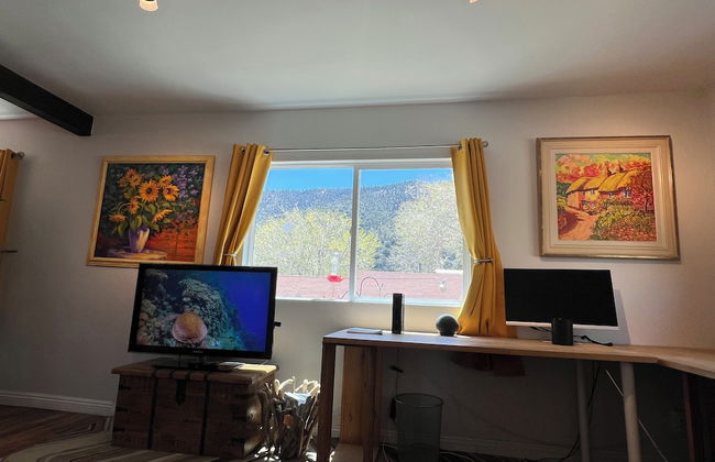 Hummingbird Mountain Cottage - Photo 25