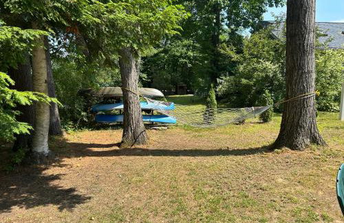 Adirondack Waterfront Cabin Upper Hudson Tributary - Foto 11