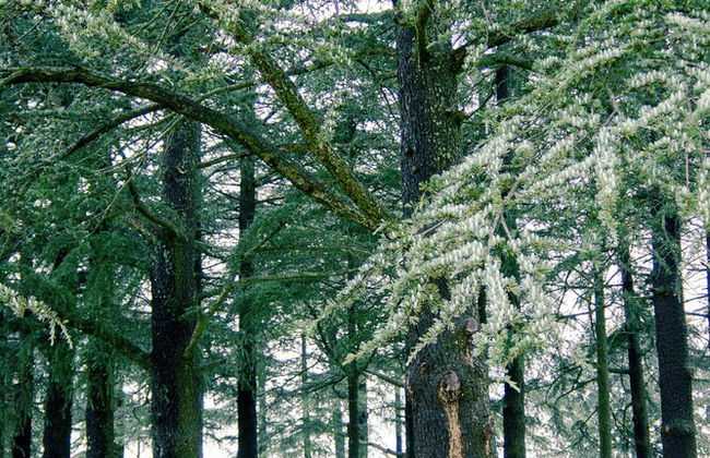 Welgelegen Manor - Photo 38