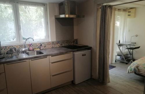 Charmant studio avec jardin - Foto 11