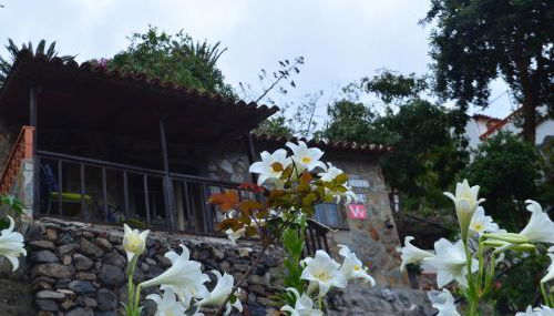 Casa Jonay - Foto 3, Garden