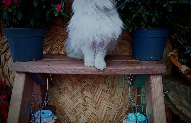 Lavish Holiday Home in Playa Blanca With Pool & Seabeach Nearby - Photo 42