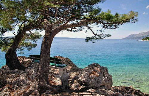 Apartmani Milka i Jozo - Foto 39