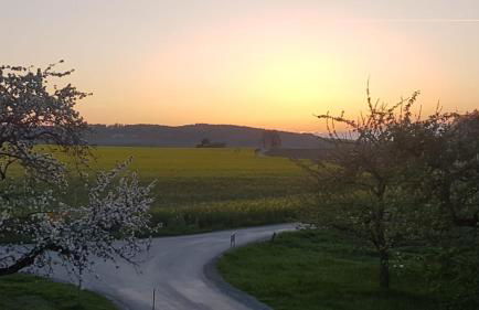 Zettis Ferienhäusle - Foto 11