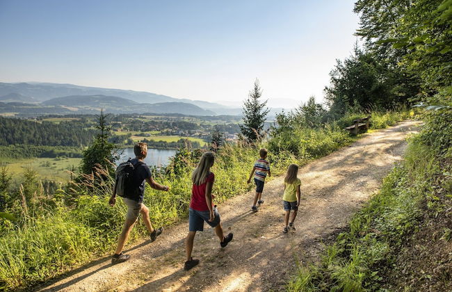 Lush Apartment in Sankt Michael ob Bleiburg - Foto 51
