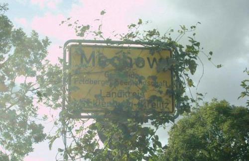 Bungalow Mechow - Foto 5