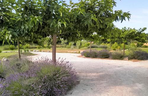 Maison charmante à Oppède avec piscine partagée - Foto 22