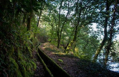 Cabanelas Country House - Casa do Afonso - Foto 42