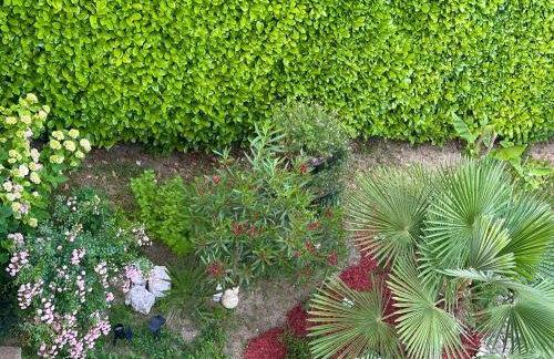 Apartman Perla - Foto 45